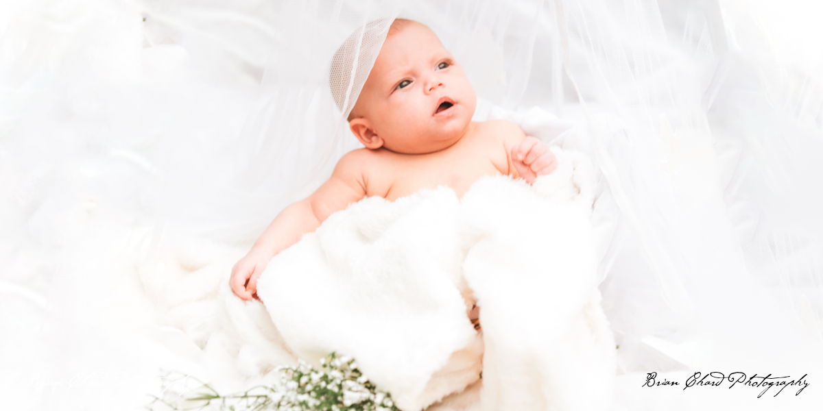 Newborn Baby Portrait Photography
